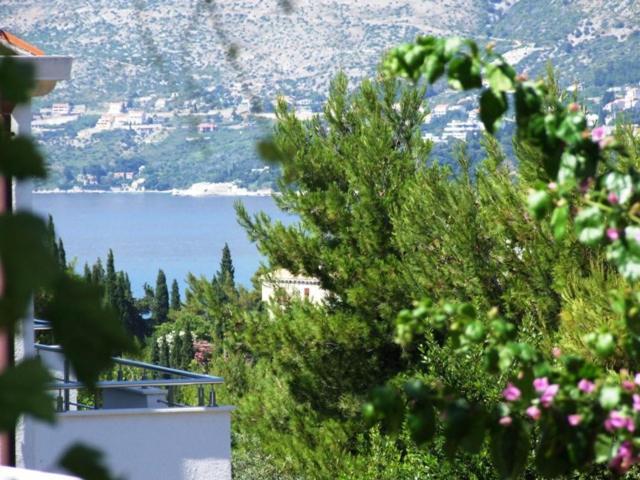 Villa Kipre 2 Cavtat Luaran gambar